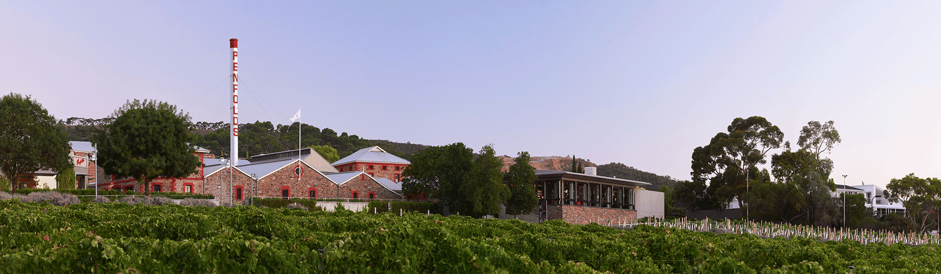 Magill Estate, Penfolds