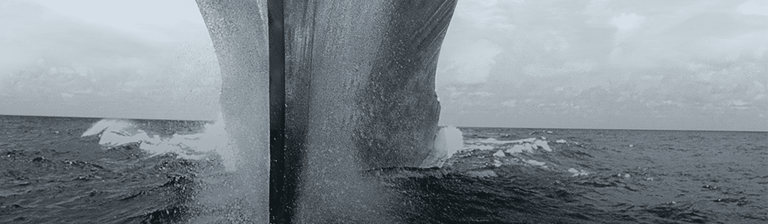 Large ship moving through ocean