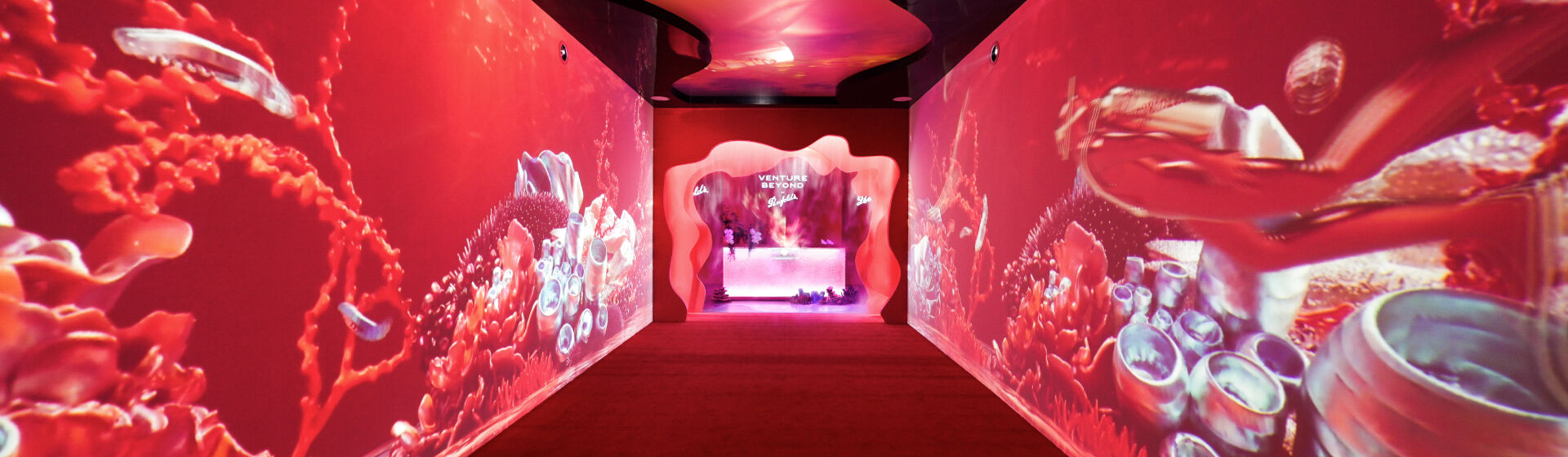 Venture Beyond by Penfolds