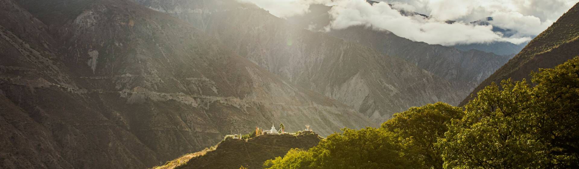 Penfold's vineyards in China