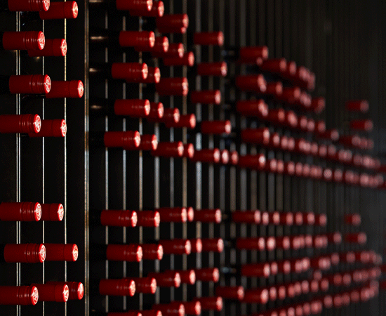 Bottles in cellar