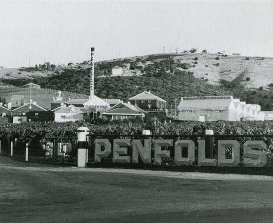 Entrance to Magill Estate Winery in the 1920s