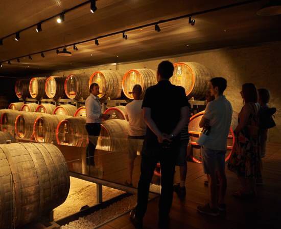 Penfolds tour at Magill Estate