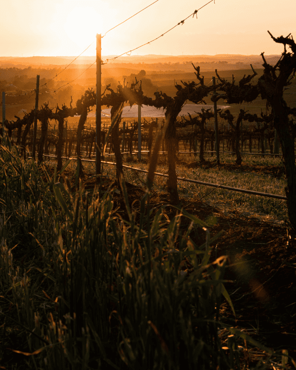 EVERMORE GRANT PROGRAM RECIPIENTS