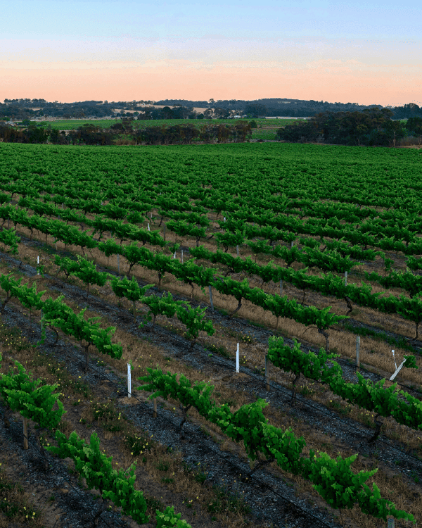 WATER MANAGEMENT PRACTICES