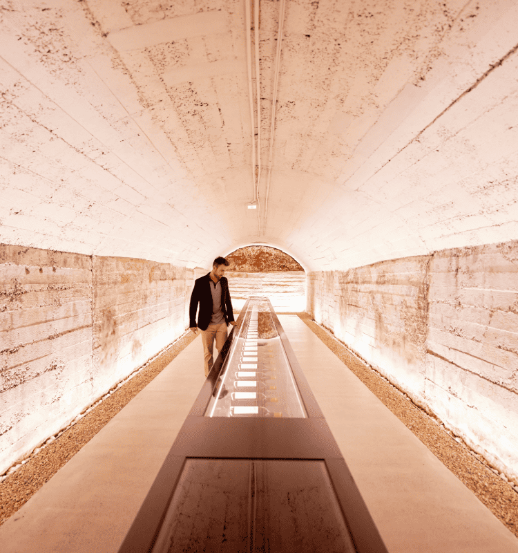 Underground tunnels at Magill Estate