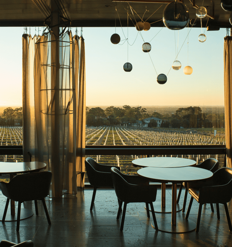 View of vineyard from Magill Estate Restaurant