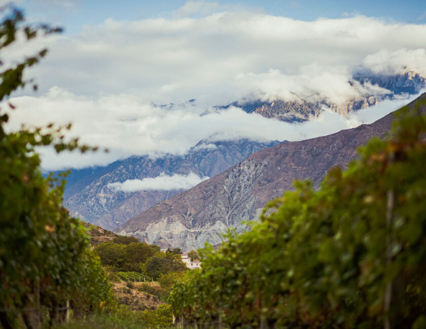 Penfolds Chinese winery