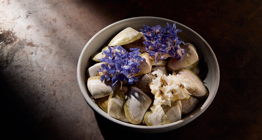 Penfolds x Mirazur Dishes