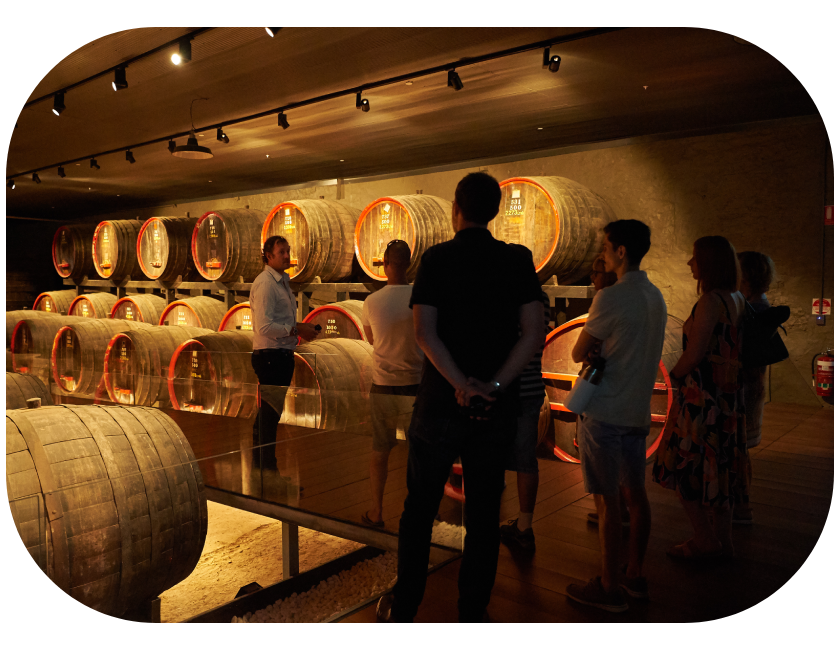 Tunnels at Magill Estate