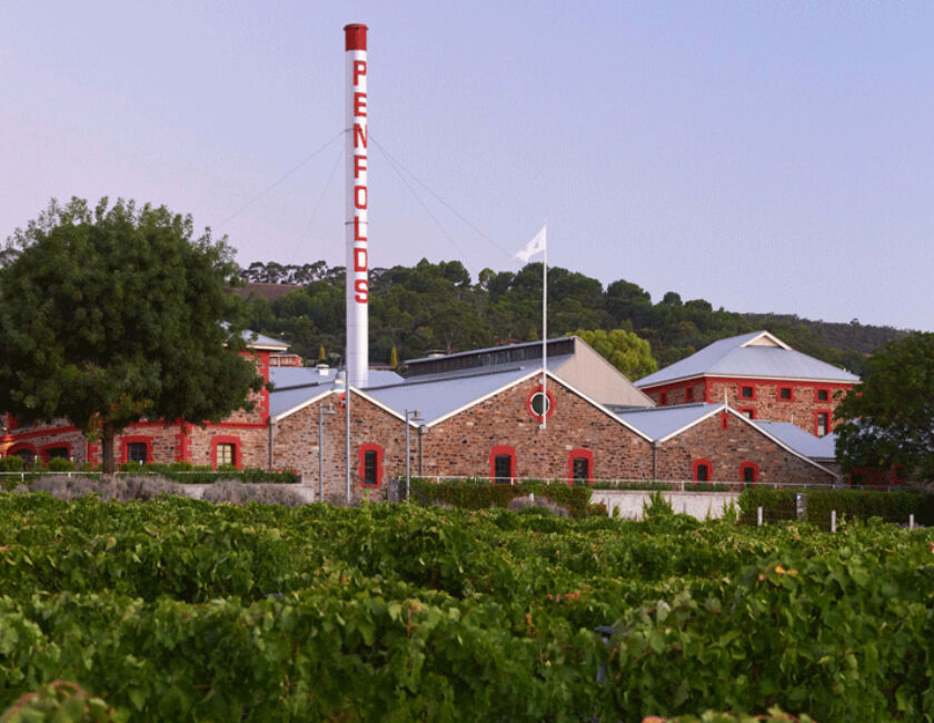 Penfolds Magill Estate vineyard and historic winery