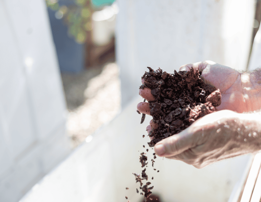 Mobius Farms, Penfolds Evermore Grant Recipient