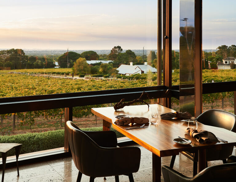 The view over the vines from Magill Estate Restaurant