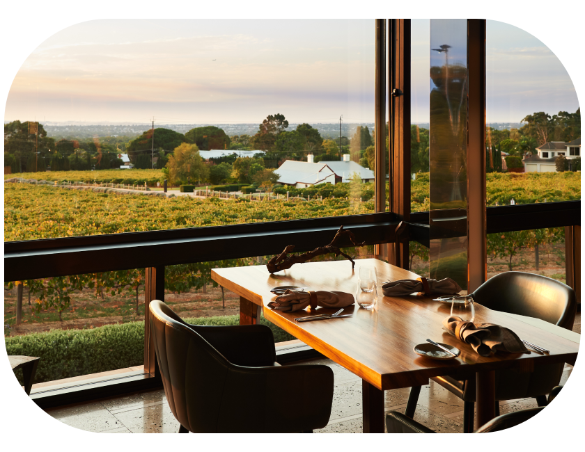 Magill Estate Restaurant, view of the vineyard