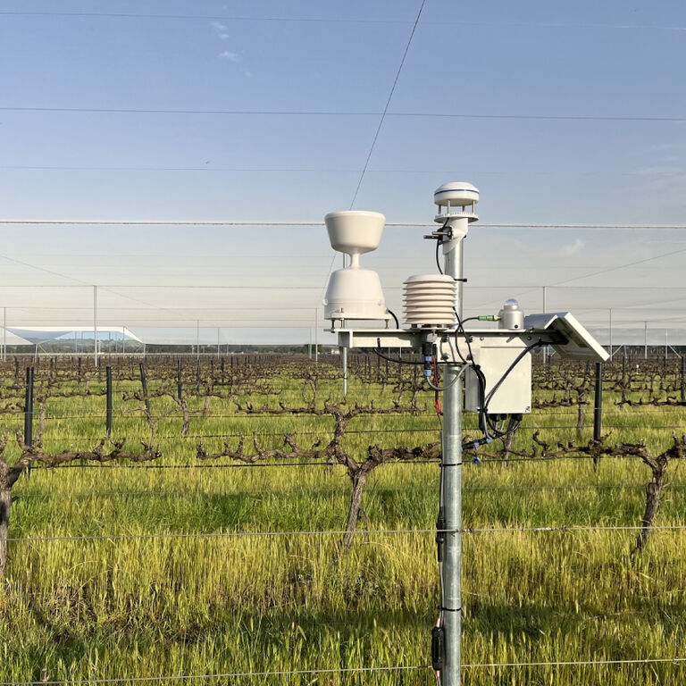 Climate Adaption in the vineyards with Penfolds
