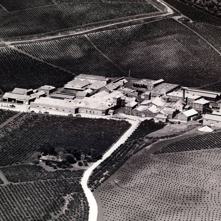 Historic image of Magill Estate