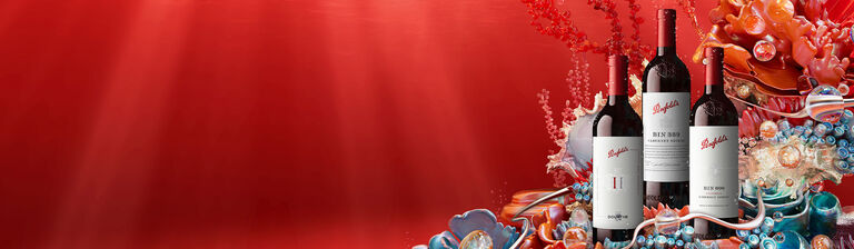 Penfolds Collection 2023