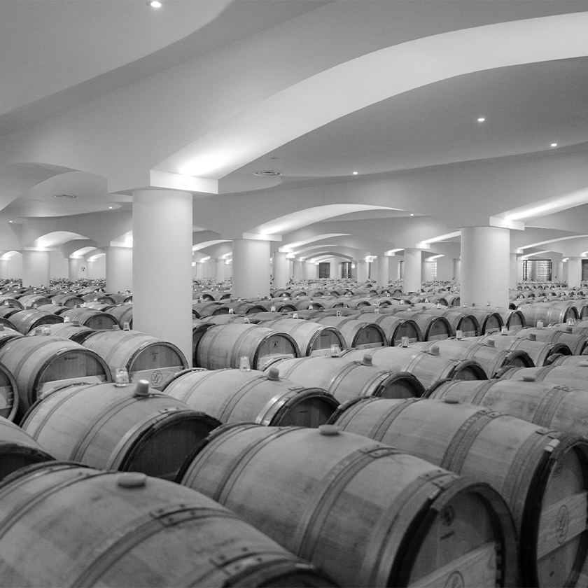 Barrels of wine
